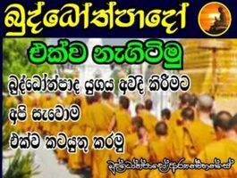 භික්ෂුන් වහන්සේලා